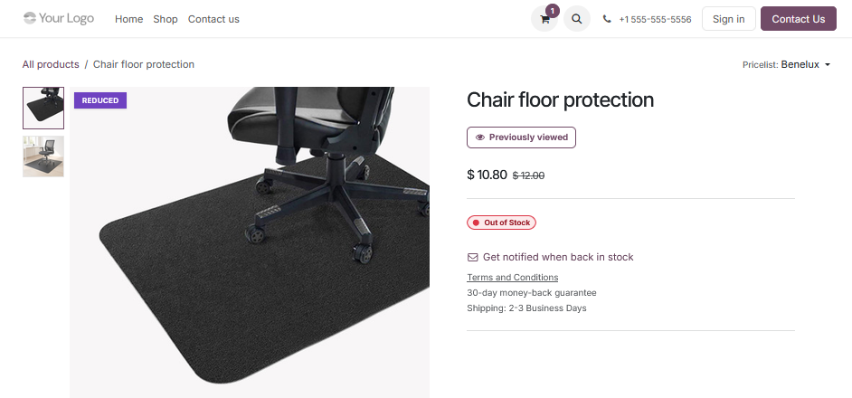 Out of stock product page